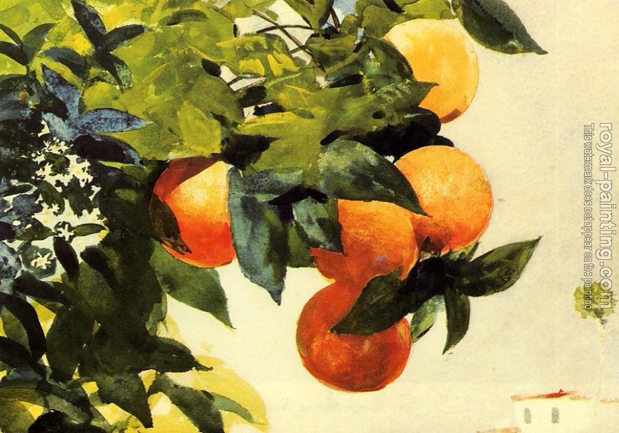 Winslow Homer : Oranges on a Branch